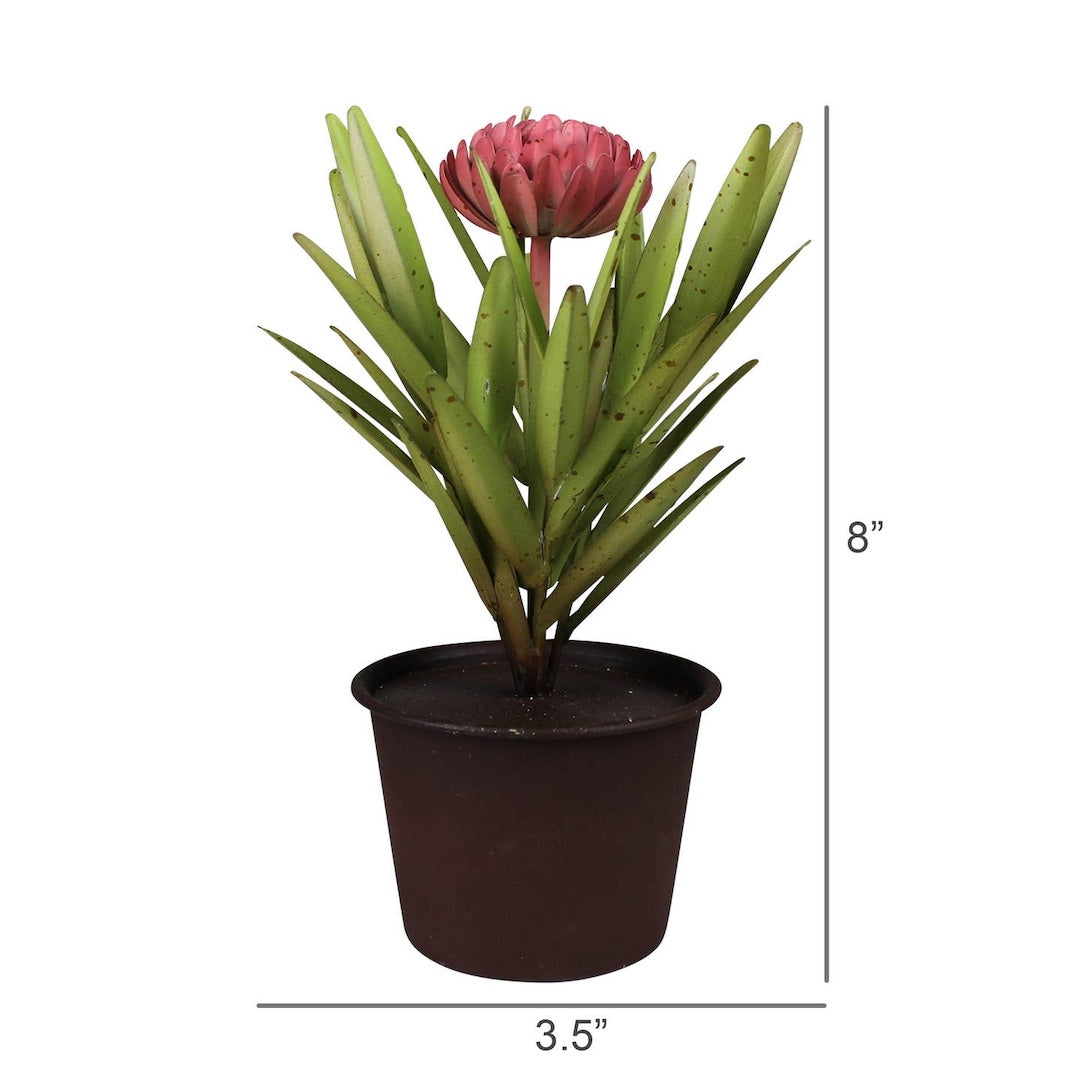 Potted aluminum dahlia  and dimensions indicated on a white background