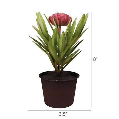 Potted aluminum dahlia  and dimensions indicated on a white background