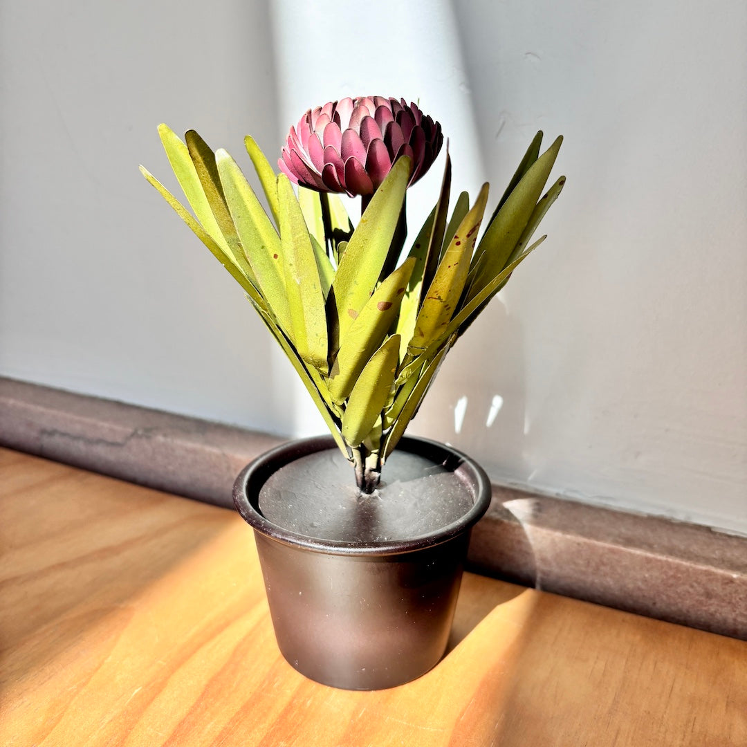 Aluminum dahlia in a pot on a wooden table.