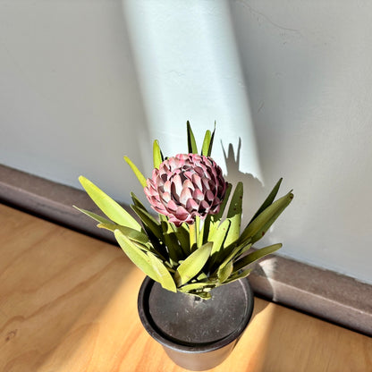 Aluminum dahlia in a pot on a wooden table.