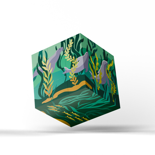 A floating cube-shaped product with a stylized underwater illustration featuring gray seals, green and teal water, and yellow seaweed, shown on a clean white background with a soft shadow underneath.