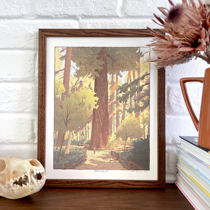 Artistry Designs Frames