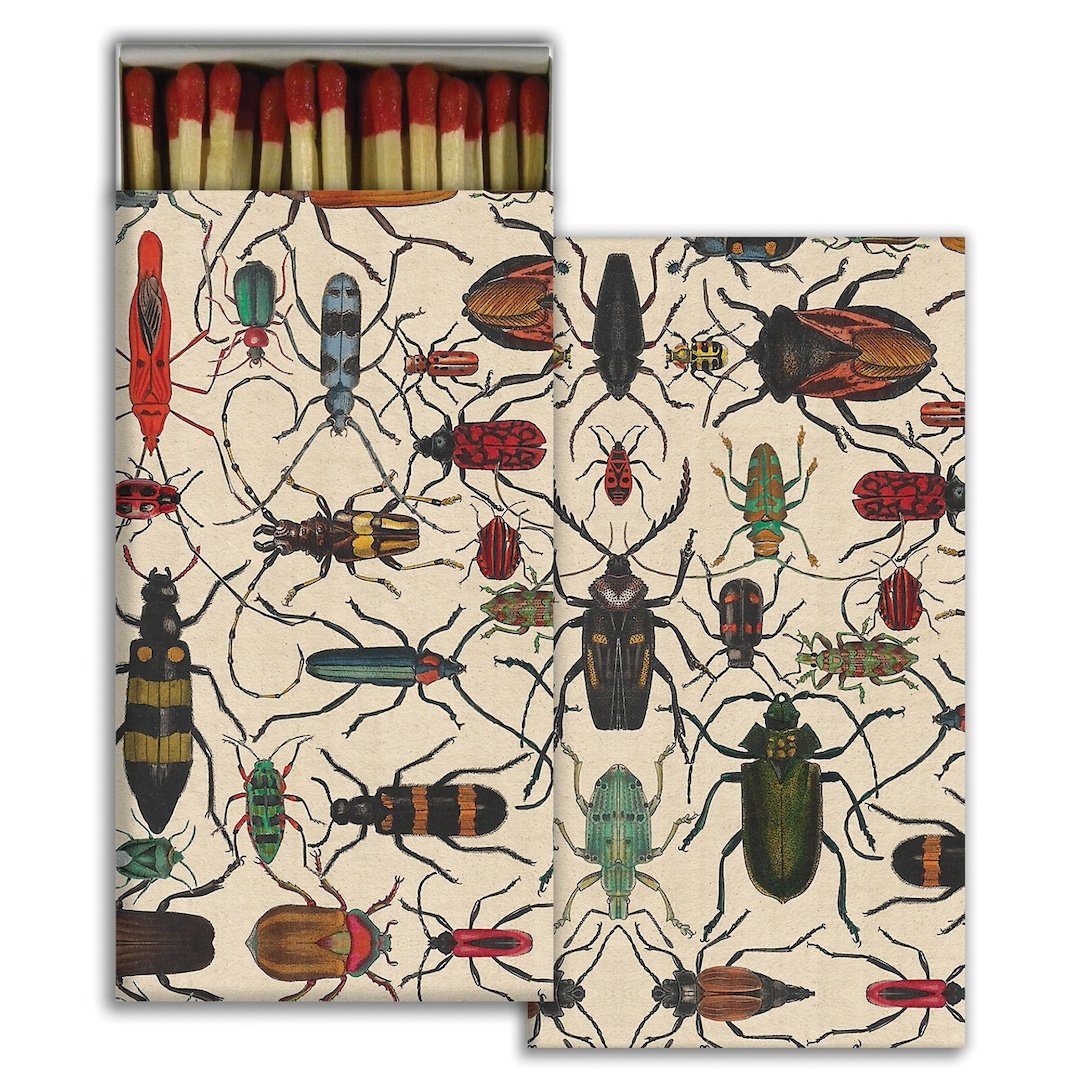 Matchbox with beetle pattern on a white background