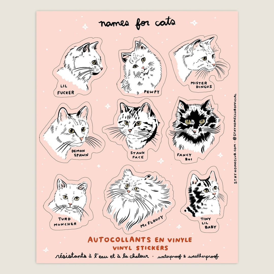 Names For Cats Sticker Sheet