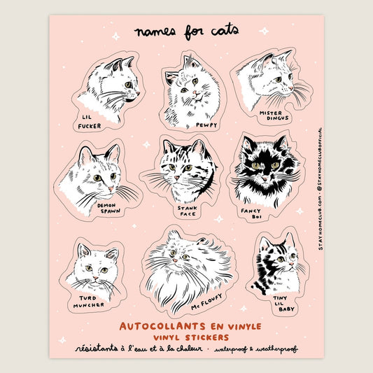 Names For Cats Sticker Sheet