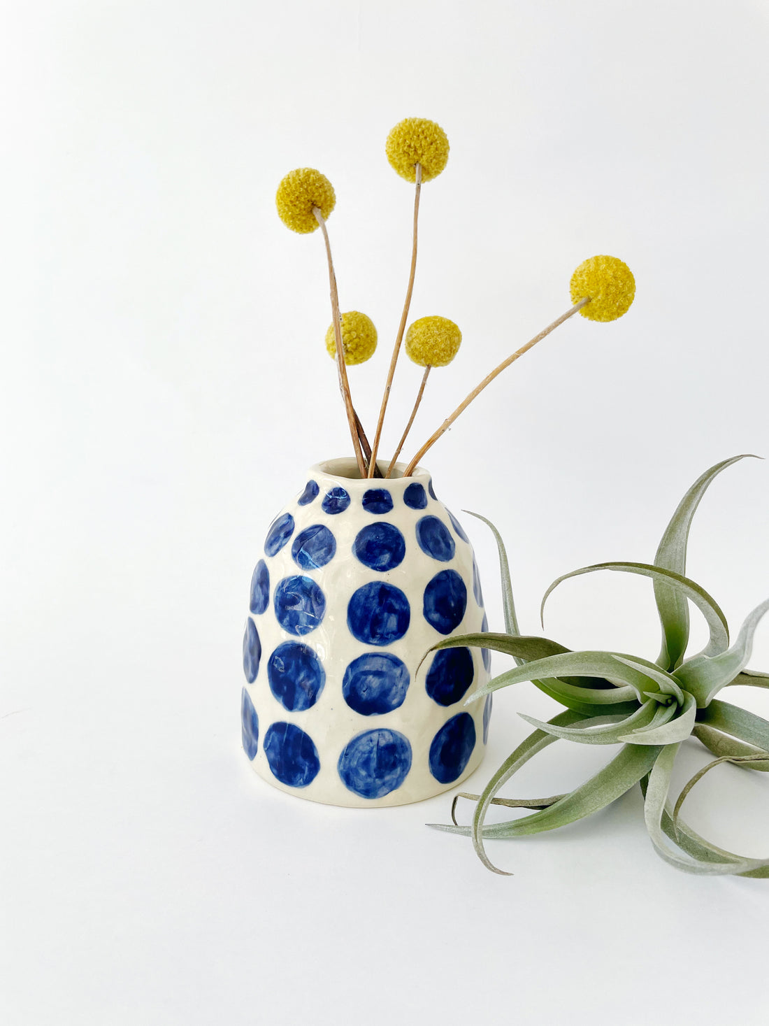 Pop-up with Casey Starks