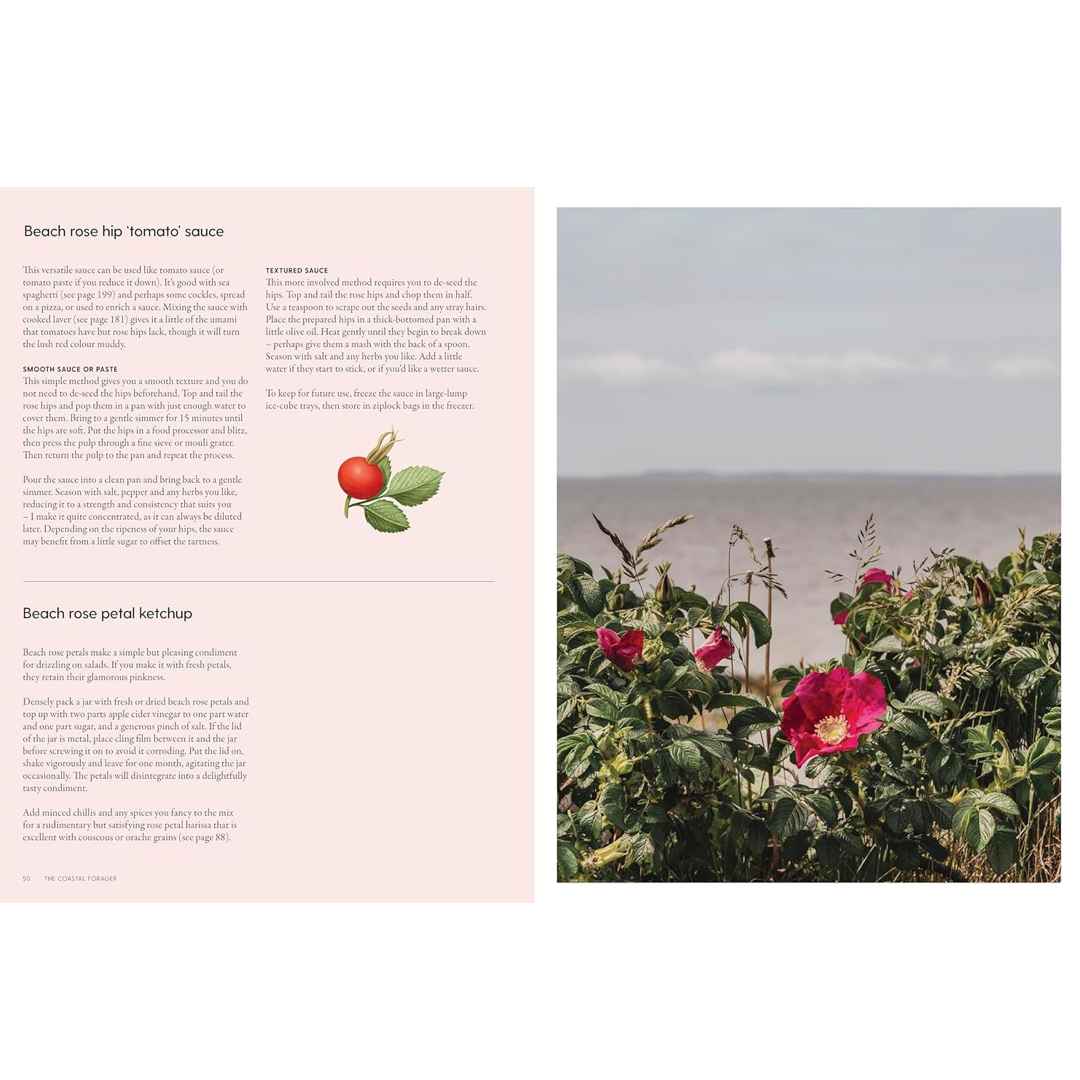 beach rose tomato sauce recipe from the book the coastal forager 