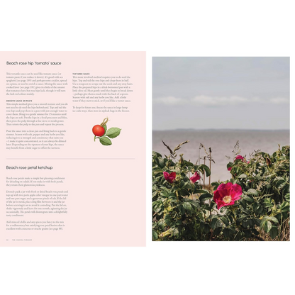 beach rose tomato sauce recipe from the book the coastal forager 