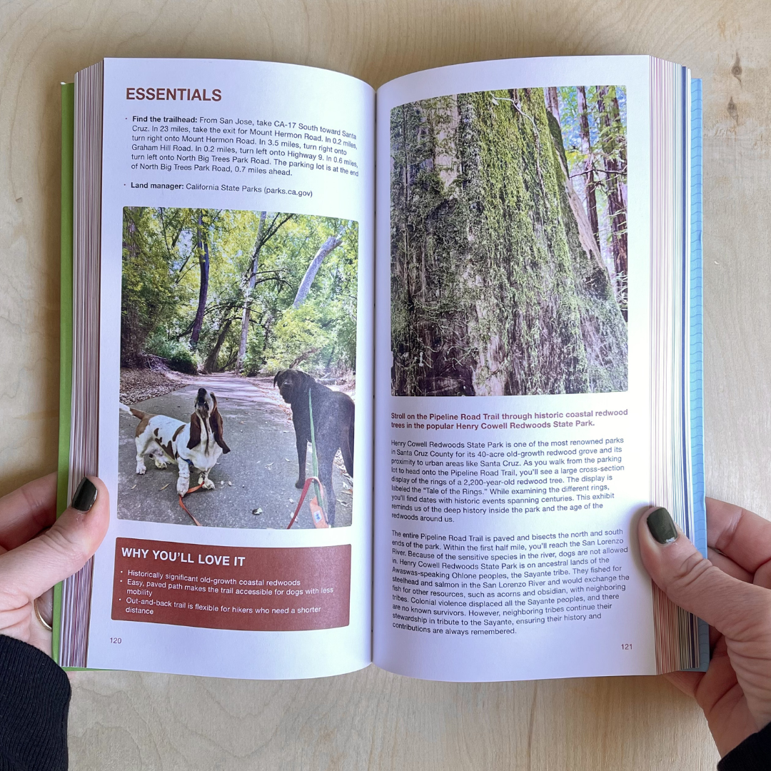 Open book showing a page with a photo of two dogs in a park and another with a tree, held by hands on a wooden surface.