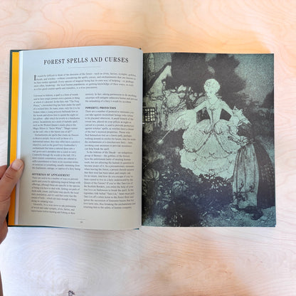 An open book spread showing printed text on the left page and a black-and-white illustration on the right page, photographed on a light wood surface with a hand holding the left edge.
