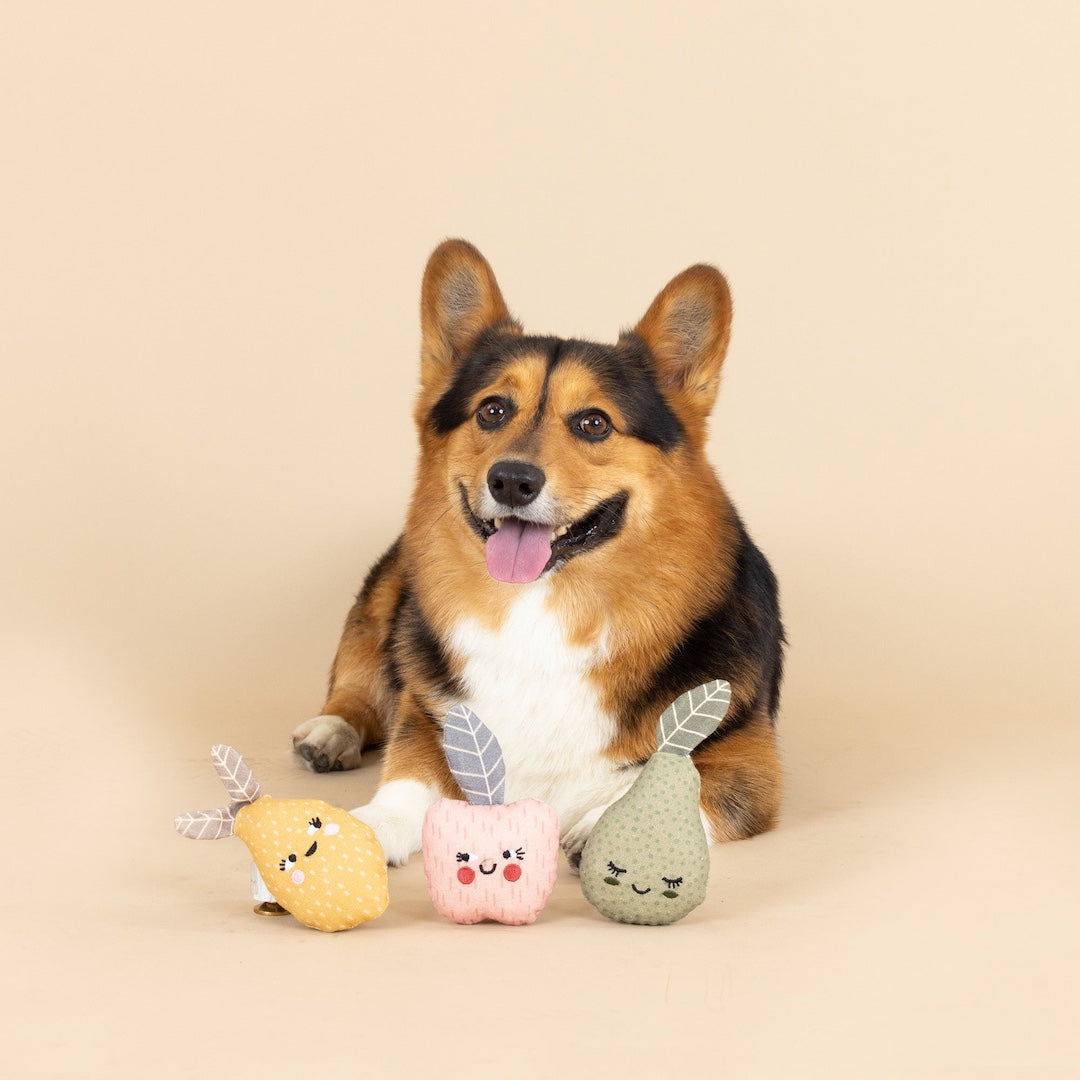 A corgi dog sits behind three small plush pear-shaped toys with embroidered faces on a plain beige studio background.