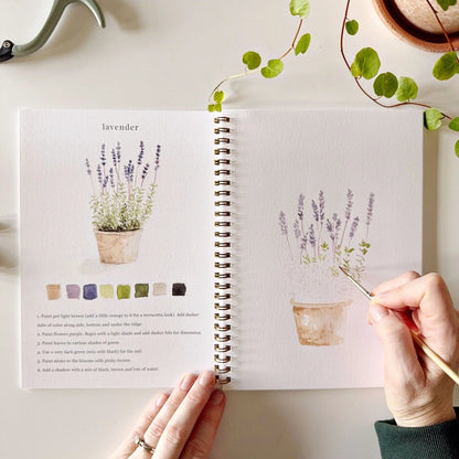 page from watercolor workbook that shows an example of a watercolor illustration of lavender on one page and the other page shows someone painting a lavender plant