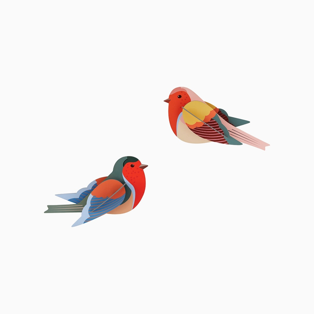 Two colorful robin birds on a white background