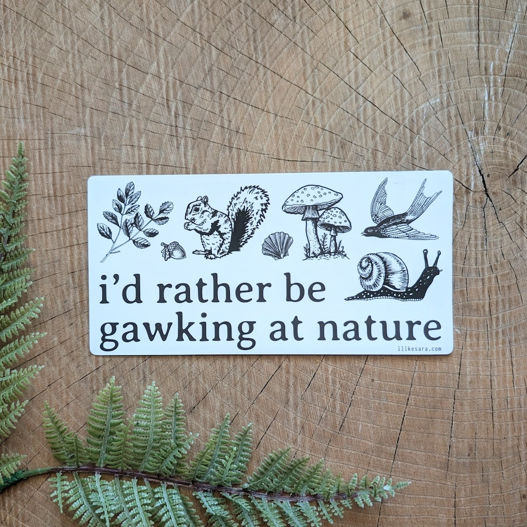 bumper sticker with nature illustrations with text that reads "I'd rather be gawking at nature"