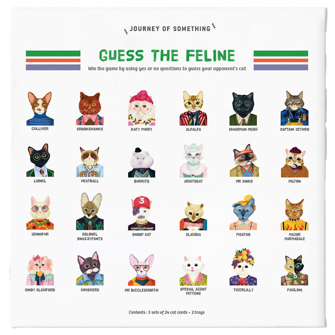 Card game packaging with illustrated cats and question cards titled 'Guess the Feline'.