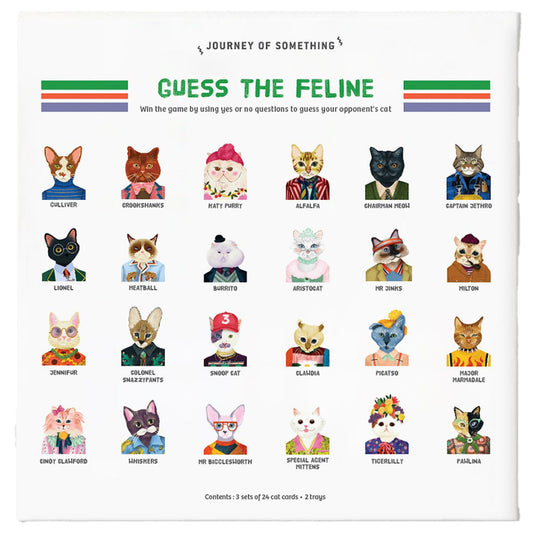 Card game packaging with illustrated cats and question cards titled 'Guess the Feline'.