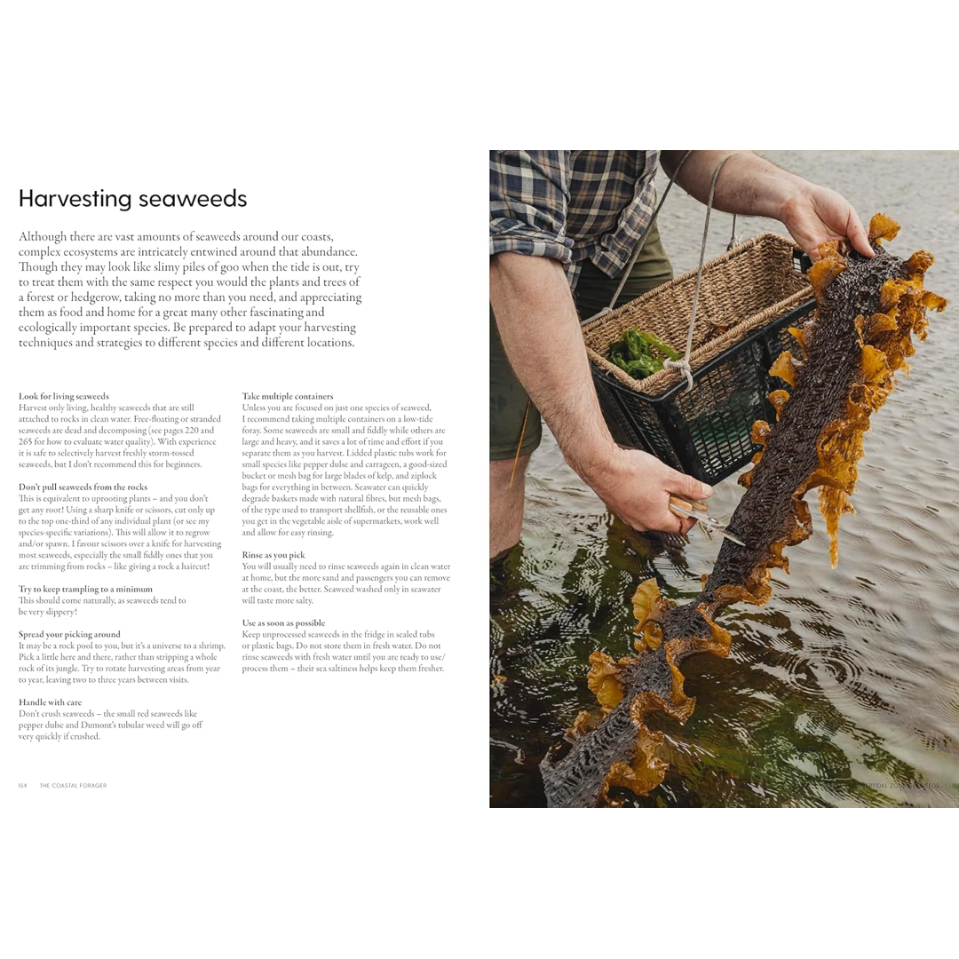 A page from the book the coastal forager that explains how to harvest seaweed