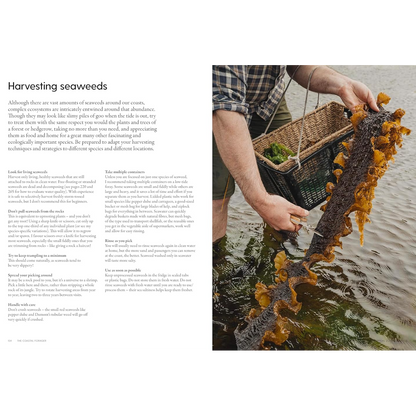 A page from the book the coastal forager that explains how to harvest seaweed