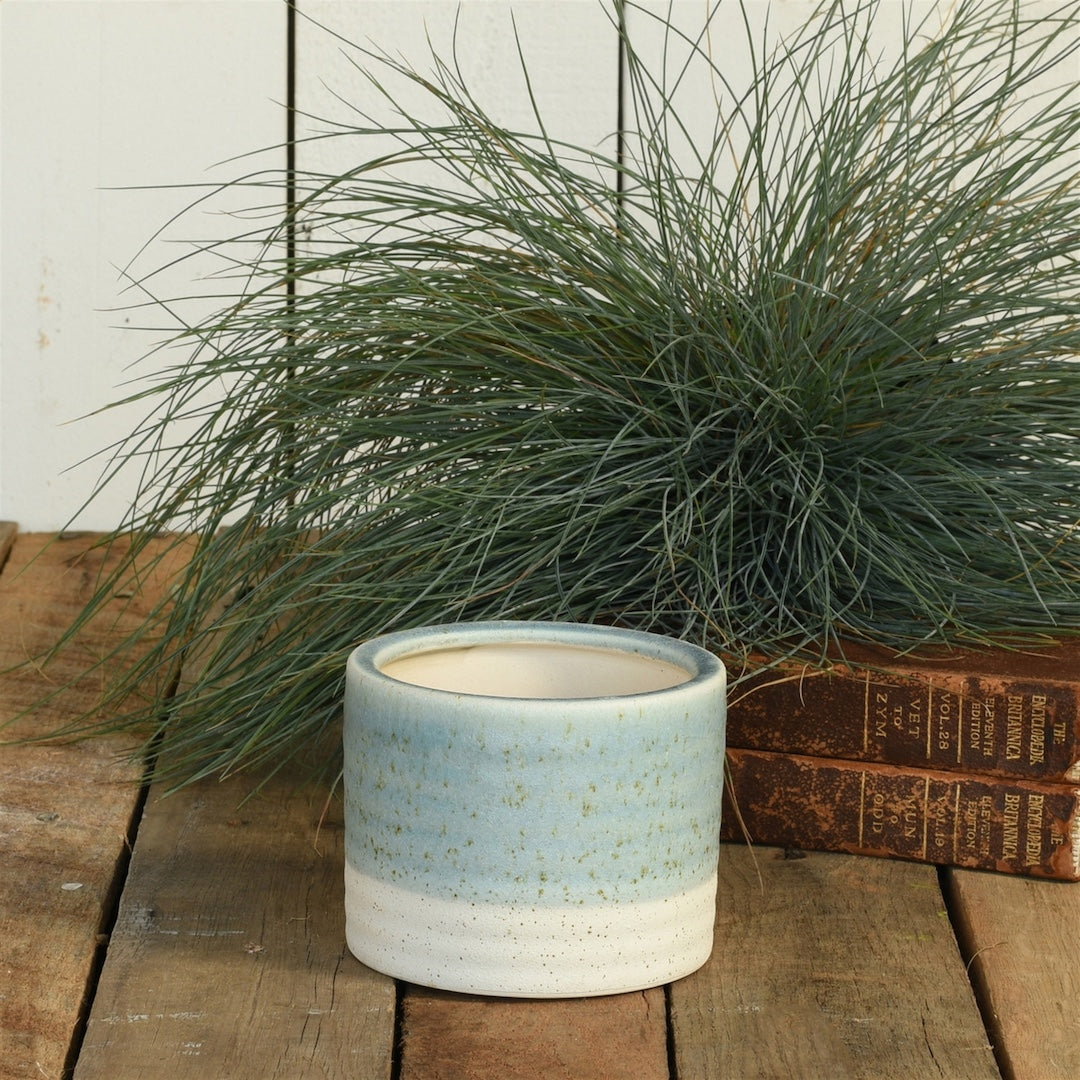 A small cylindrical ceramic planter with a speckled light blue upper half and an off-white lower half, placed on a rustic wooden surface with ornamental grass and old books in the background.