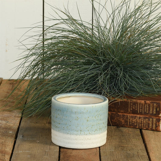 A small cylindrical ceramic planter with a speckled light blue upper half and an off-white lower half, placed on a rustic wooden surface with ornamental grass and old books in the background.