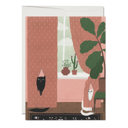 Greeting card with illustration of a black cat and white cat by a window with pink curtains and plants.