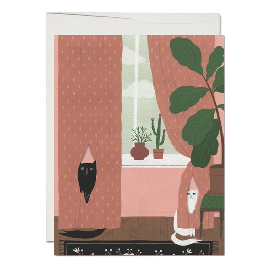 Greeting card with illustration of a black cat and white cat by a window with pink curtains and plants.