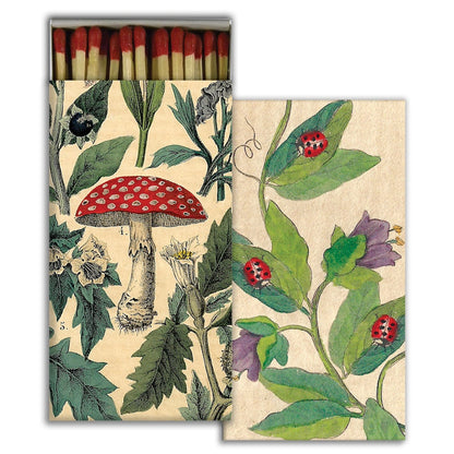 Matchbox with botanical design featuring a red mushroom and green leaves.