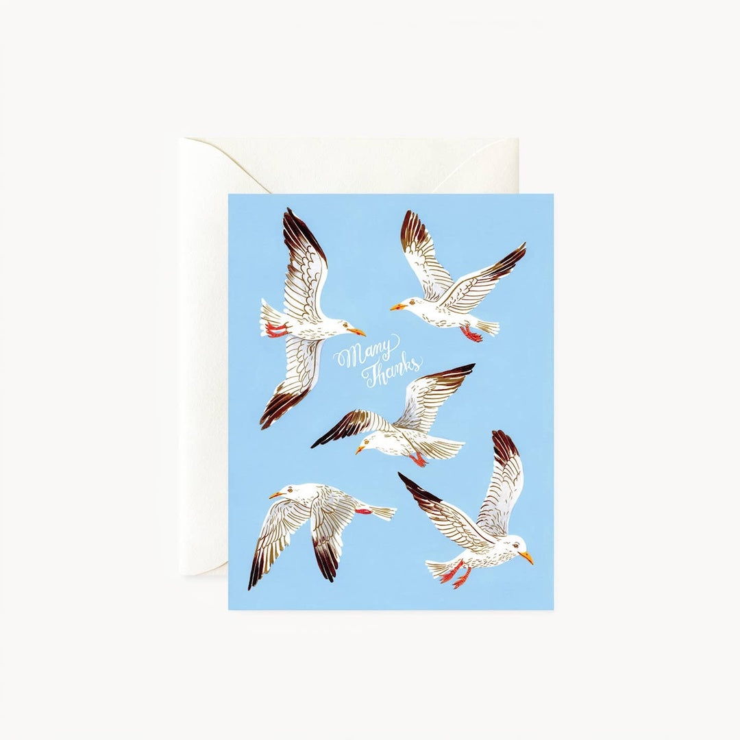 A greeting card with a light blue background featuring five illustrated seagulls in flight and the words 'Many Thanks' in white script, shown with a white envelope behind it on a light gray background.