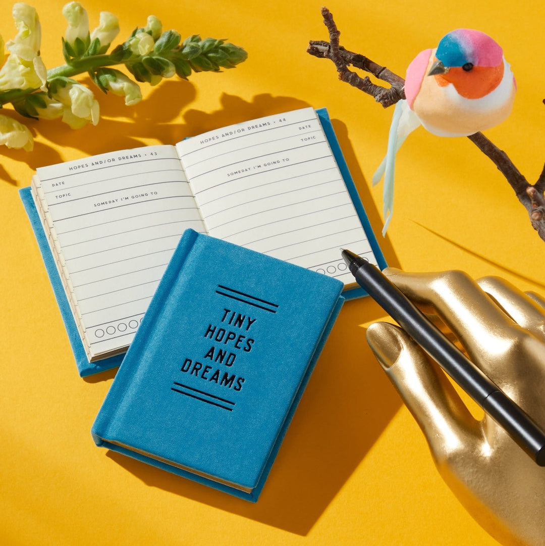 Tiny Diary Tiny Hopes and Dreams